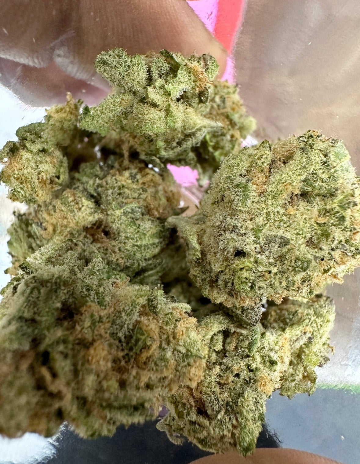 White Truffle Indica Hybrid 30 CannaWize Co Houston, Texas Legal